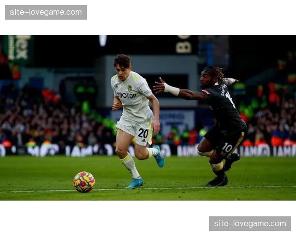 利兹联边路快马丹尼尔詹姆斯腹股沟问题 反击速度下降